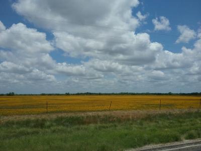 Field Near Clyde Texas